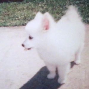 Meet your Posher, Gina